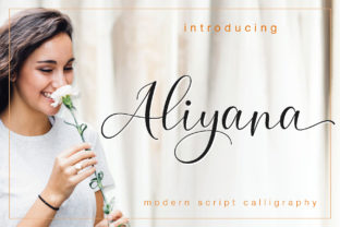 Aliyana Script: A Workflow-Enhancing Tool for Modern Professionals
