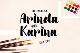 Arinda Karina Duo: A Comprehensive Evaluation for Modern Professionals