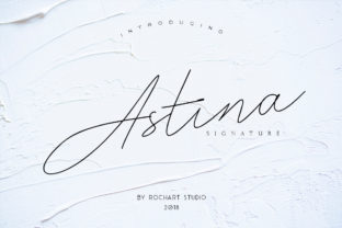Astina: A Practical Guide