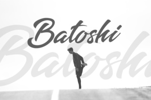 Batoshi: A Comprehensive Evaluation for Informed Decision-Making