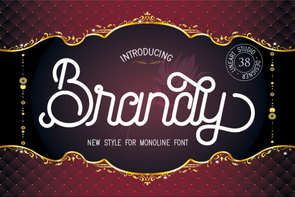 Brandy: A Comprehensive Evaluation for Informed Decision-Making