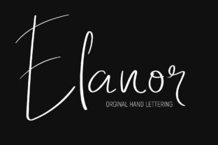 Elanor: A Strategic Tool for Better Decision-Making and Results