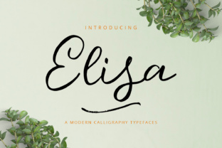 Elisa: A Practical Tool for Everyday Use