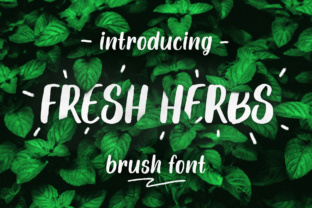 Fresh Herbs for Everyday Use