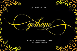 Geshane: A Comprehensive Guide to Understanding and Utilizing the Platform