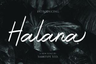 Halana: A Powerful Tool for Modern Users