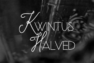 Kwintus Halved: A Practical Tool for Everyday Use