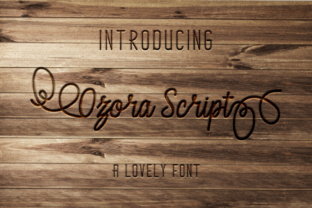 Ozora Script: Streamlining Workflow Through Purposeful Design