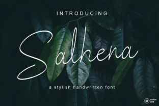 Salhena: A Powerful Tool for Modern Professionals