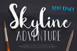 Skyline Adventure Duo: A Comprehensive Evaluation