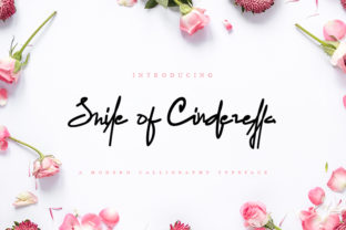 Smile of Cinderella: A New Dawn