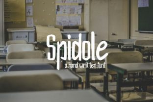 Spidole: A Powerful Tool for Streamlining Your Digital Workflow