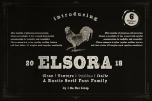 What Is Elsora and Why It Matters