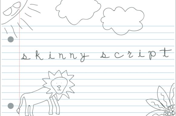 Why Skinny Script is a Game-Changer for Modern Designers and Developers