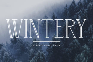 Wintery Family: A Stylish Winter Touch
